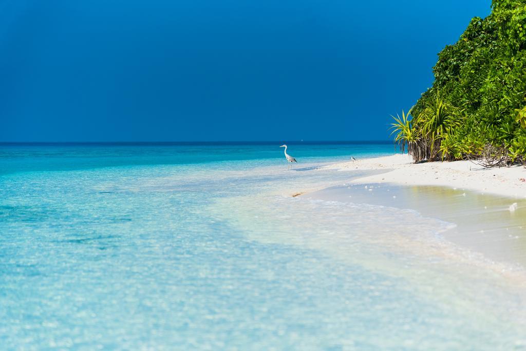 Villa Kamadhoo Exterior photo